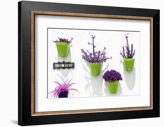 Made in Spain Collection - Lime Pots Wall-Philippe Hugonnard-Framed Photographic Print