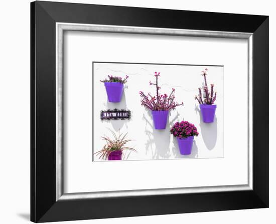 Made in Spain Collection - Purple Pots Wall-Philippe Hugonnard-Framed Photographic Print