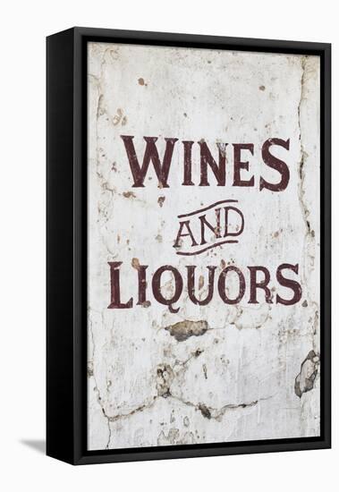 Made in Spain Collection - Wines and Liquors Sign-Philippe Hugonnard-Framed Premier Image Canvas