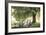 Made In The Shade-Celebrate Life Gallery-Framed Giclee Print