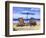 Made in the Shade-Scott Westmoreland-Framed Art Print