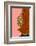 Made of Flowers-Gigi Rosado-Framed Photographic Print