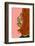 Made of Flowers-Gigi Rosado-Framed Photographic Print