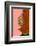 Made of Flowers-Gigi Rosado-Framed Photographic Print