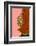 Made of Flowers-Gigi Rosado-Framed Photographic Print