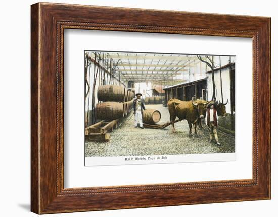 Madeira Barrels - Madeira, Portugal-null-Framed Photographic Print