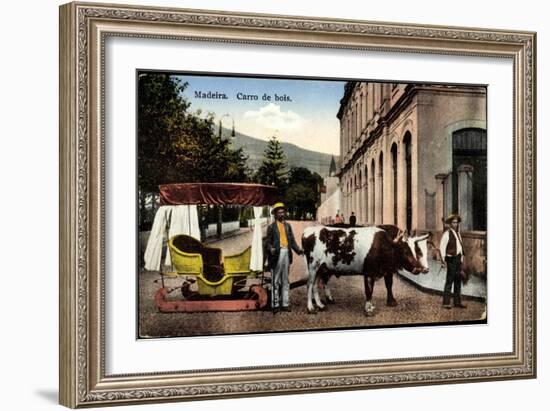 Madeira Portugal, Carro De Bois, Ochsenkarren Auf Schlitten-null-Framed Giclee Print