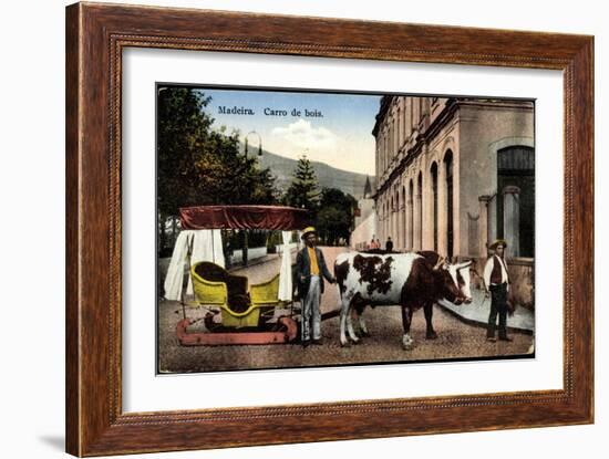 Madeira Portugal, Carro De Bois, Ochsenkarren Auf Schlitten-null-Framed Giclee Print