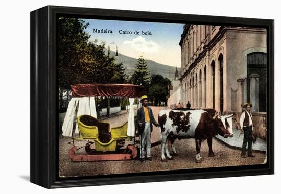 Madeira Portugal, Carro De Bois, Ochsenkarren Auf Schlitten-null-Framed Premier Image Canvas