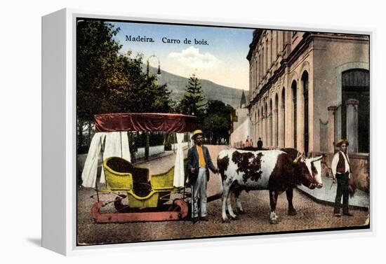 Madeira Portugal, Carro De Bois, Ochsenkarren Auf Schlitten-null-Framed Premier Image Canvas