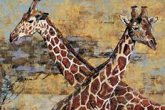 Safari Giraffes-Madelaine Morris-Framed Art Print