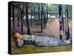 Stretched Canvas Print