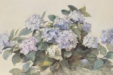 Fleurs De Mai (May Flowers). Cover of Le Figaro Illustre, May 1894 (Colour Litho)-Madeleine Lemaire-Giclee Print