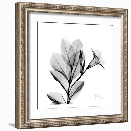 Madelia in Black and White-Albert Koetsier-Framed Art Print