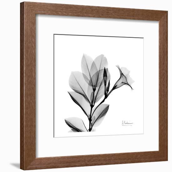 Madelia in Black and White-Albert Koetsier-Framed Art Print