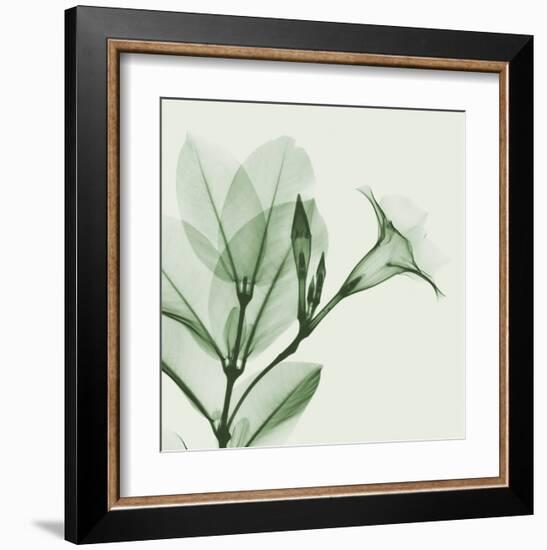 Madelia in Green-Albert Koetsier-Framed Art Print