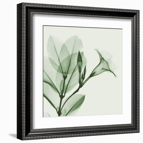 Madelia in Green-Albert Koetsier-Framed Art Print