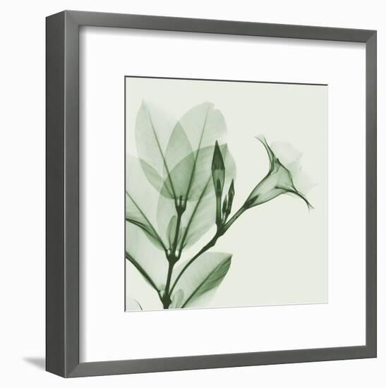 Madelia in Green-Albert Koetsier-Framed Art Print