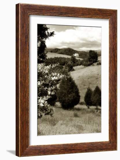 Madison County 2-Alan Hausenflock-Framed Photographic Print