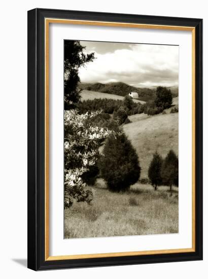 Madison County 2-Alan Hausenflock-Framed Photographic Print