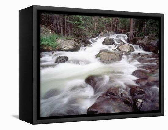 Madison River Rushing over Rocks-Jim Zuckerman-Framed Premier Image Canvas