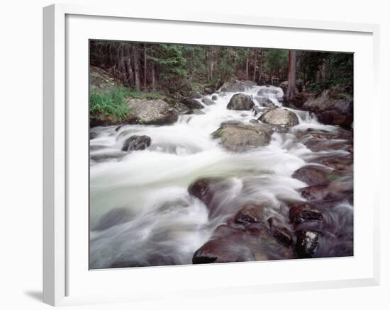 Madison River Rushing over Rocks-Jim Zuckerman-Framed Photographic Print