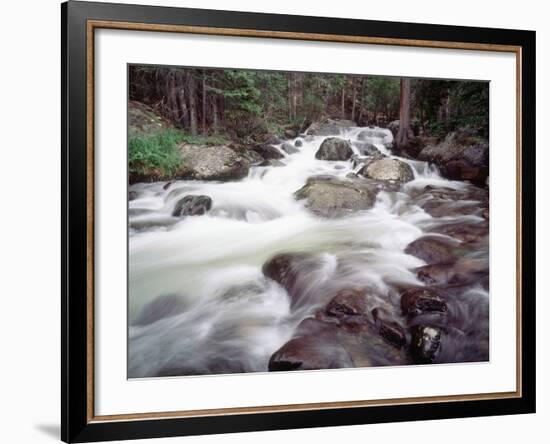 Madison River Rushing over Rocks-Jim Zuckerman-Framed Photographic Print