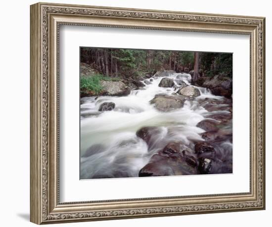 Madison River Rushing over Rocks-Jim Zuckerman-Framed Photographic Print