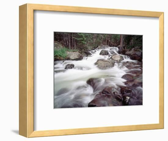 Madison River Rushing over Rocks-Jim Zuckerman-Framed Photographic Print