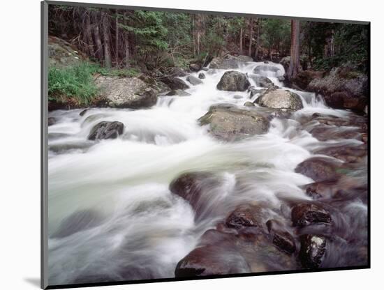 Madison River Rushing over Rocks-Jim Zuckerman-Mounted Photographic Print