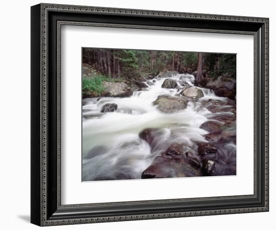 Madison River Rushing over Rocks-Jim Zuckerman-Framed Photographic Print