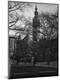 Photographic Print