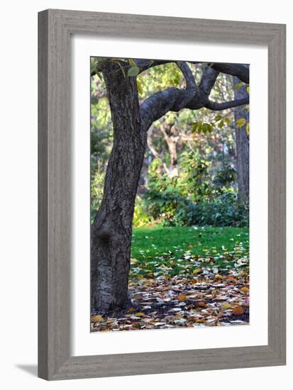 Madison Square Park NYC-null-Framed Photo