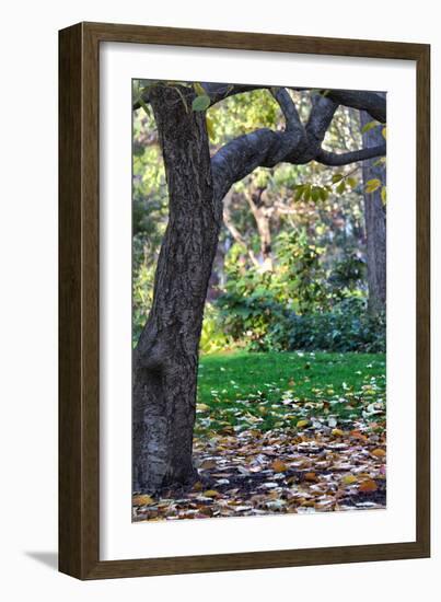 Madison Square Park NYC-null-Framed Photo