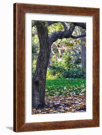 Madison Square Park NYC-null-Framed Photo