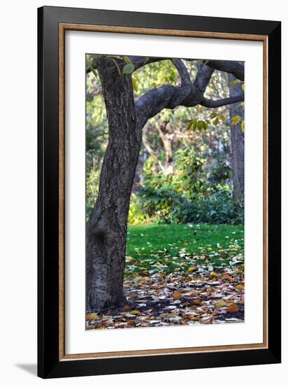 Madison Square Park NYC-null-Framed Photo