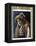 Madmoiselle Margyl-Nadar-Framed Premier Image Canvas