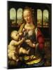 Madonna and Carnation, 1478-Leonardo da Vinci-Mounted Giclee Print