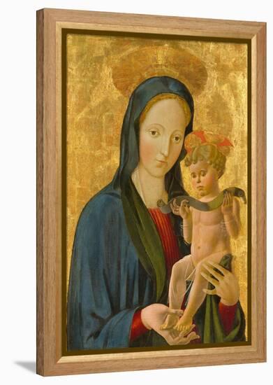 Madonna and Child, 1445 (Tempera and Gold Leaf on Panel)-Paolo Uccello-Framed Premier Image Canvas