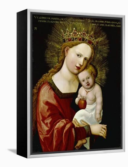 Madonna and Child, 1520-Albrecht Altdorfer-Framed Premier Image Canvas