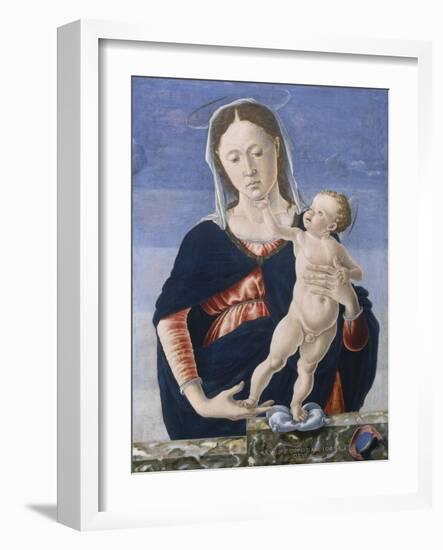 Madonna and Child, c.1467-8-Marco Zoppo-Framed Giclee Print