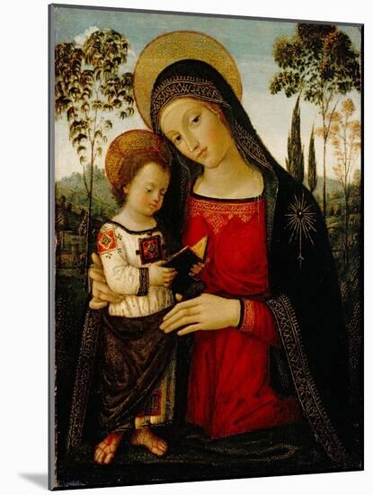 Madonna and Child, c.1490-1495-Bernardino di Betto Pinturicchio-Mounted Giclee Print