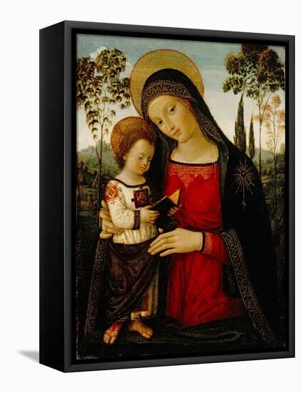 Madonna and Child, c.1490-1495-Bernardino di Betto Pinturicchio-Framed Premier Image Canvas