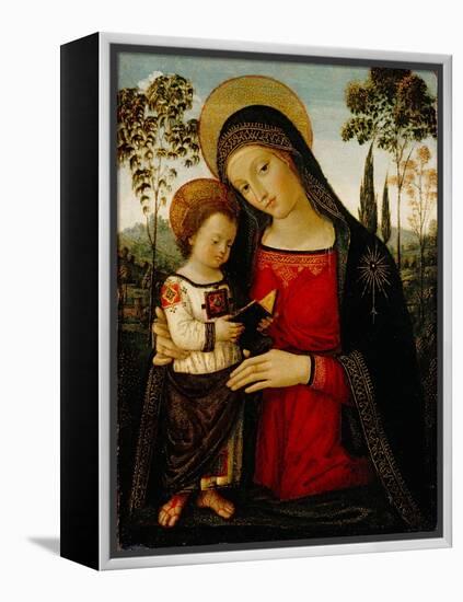 Madonna and Child, c.1490-1495-Bernardino di Betto Pinturicchio-Framed Premier Image Canvas