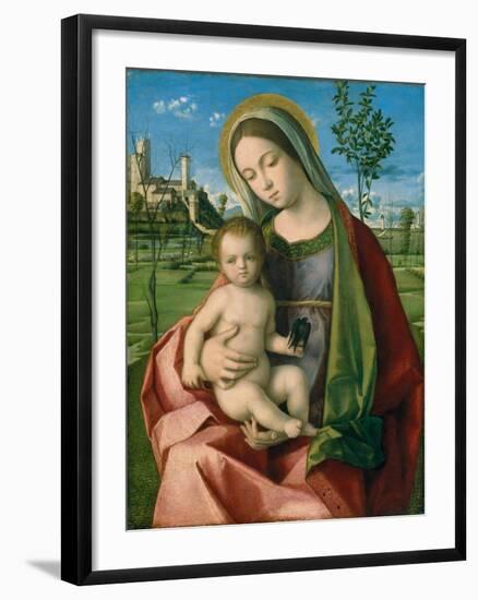 Madonna and Child, c.1510-Giovanni Bellini-Framed Giclee Print