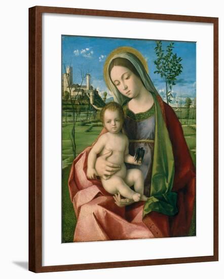 Madonna and Child, c.1510-Giovanni Bellini-Framed Giclee Print