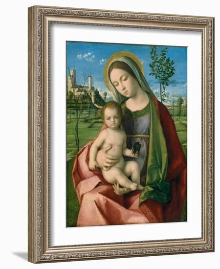 Madonna and Child, c.1510-Giovanni Bellini-Framed Giclee Print