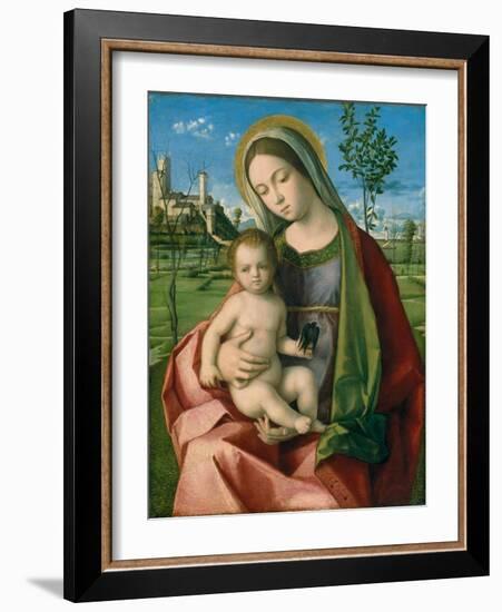 Madonna and Child, c.1510-Giovanni Bellini-Framed Giclee Print