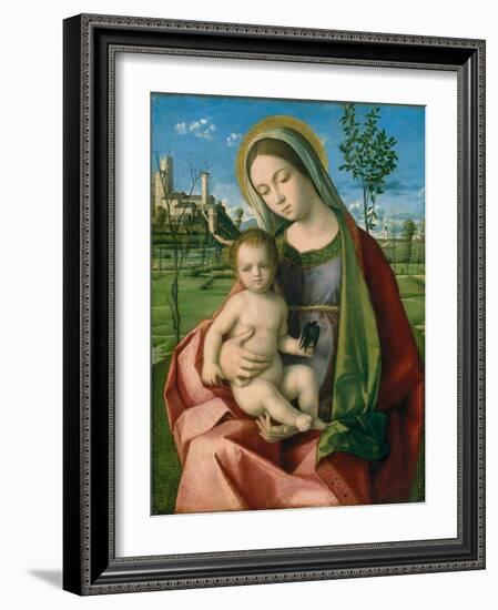 Madonna and Child, c.1510-Giovanni Bellini-Framed Giclee Print