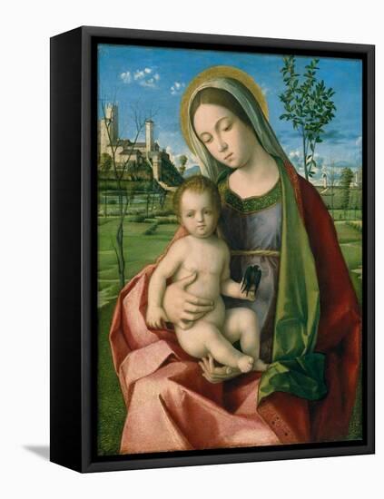 Madonna and Child, c.1510-Giovanni Bellini-Framed Premier Image Canvas